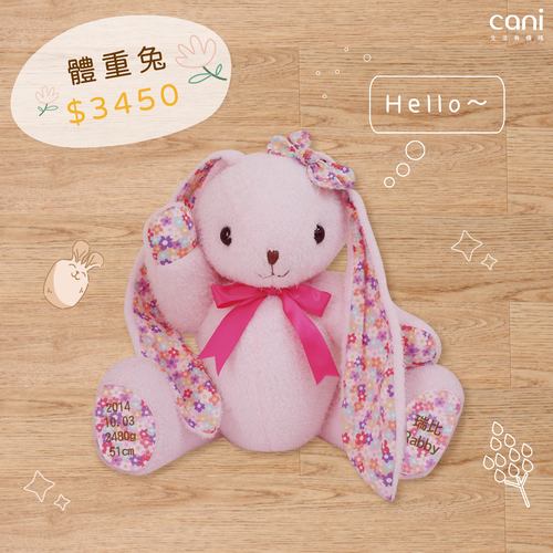 ✦雙12限時搶購組✦12/12（五）中午12:30開賣✦cani 體重兔✦毛色款(部份花色少量布料)可加入line@:@cani告知希望提醒12月體重玩偶開賣